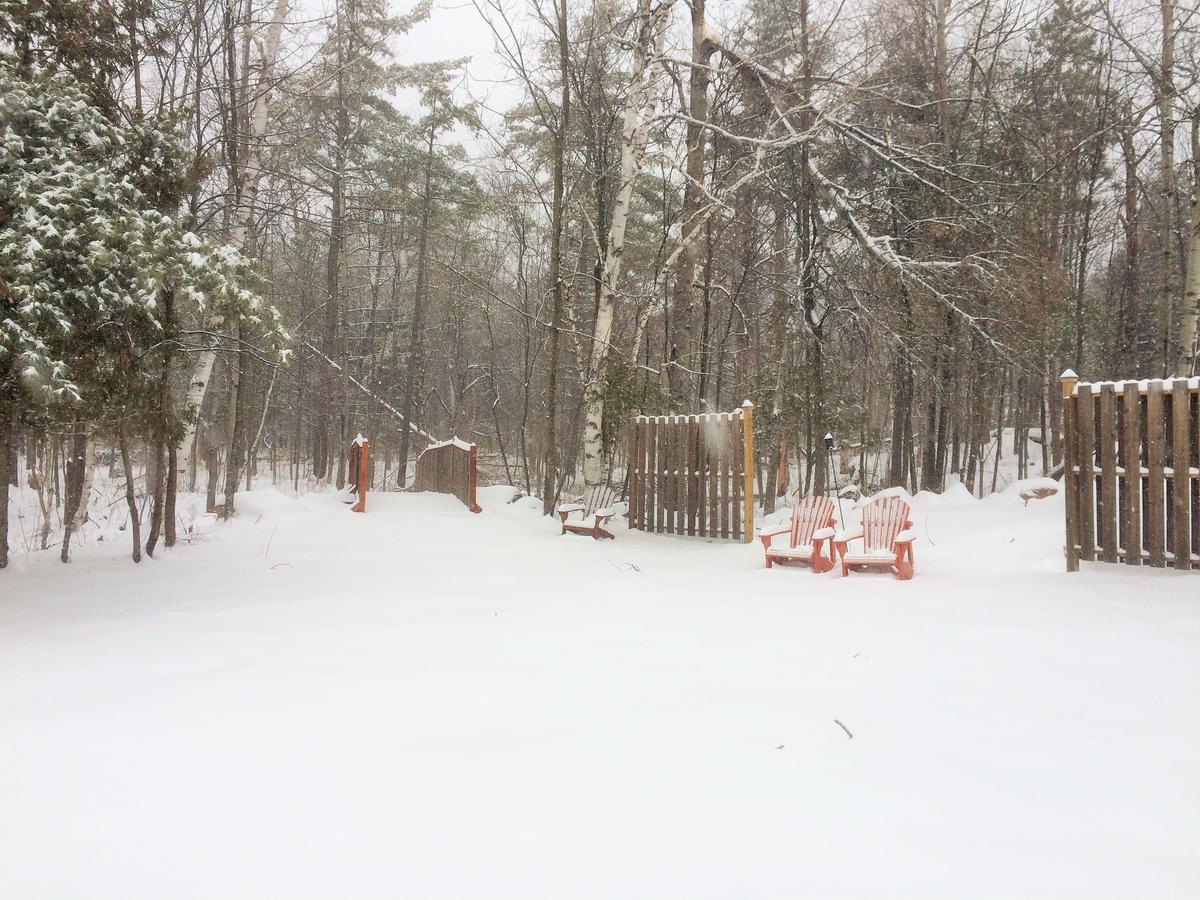Adirondack Spruce Lodge Wilmington Bagian luar foto