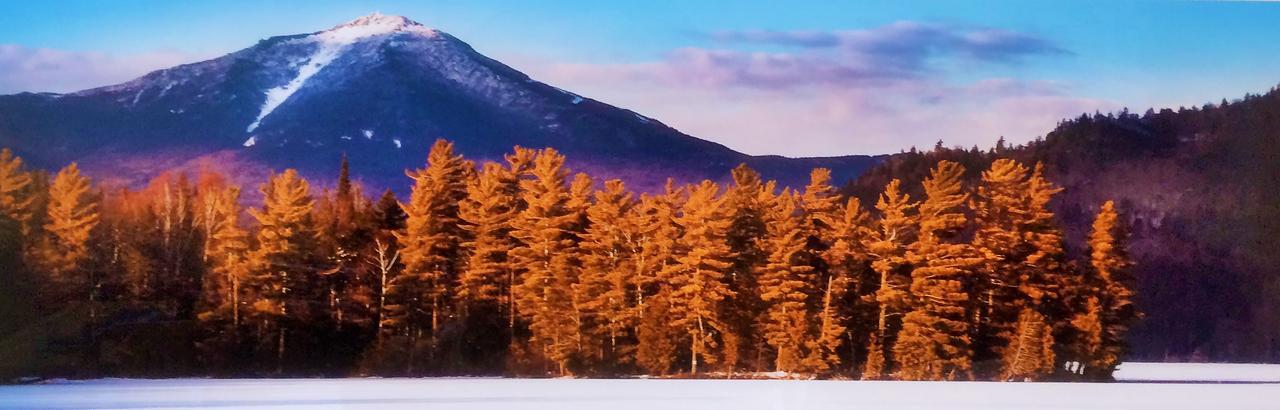 Adirondack Spruce Lodge Wilmington Bagian luar foto