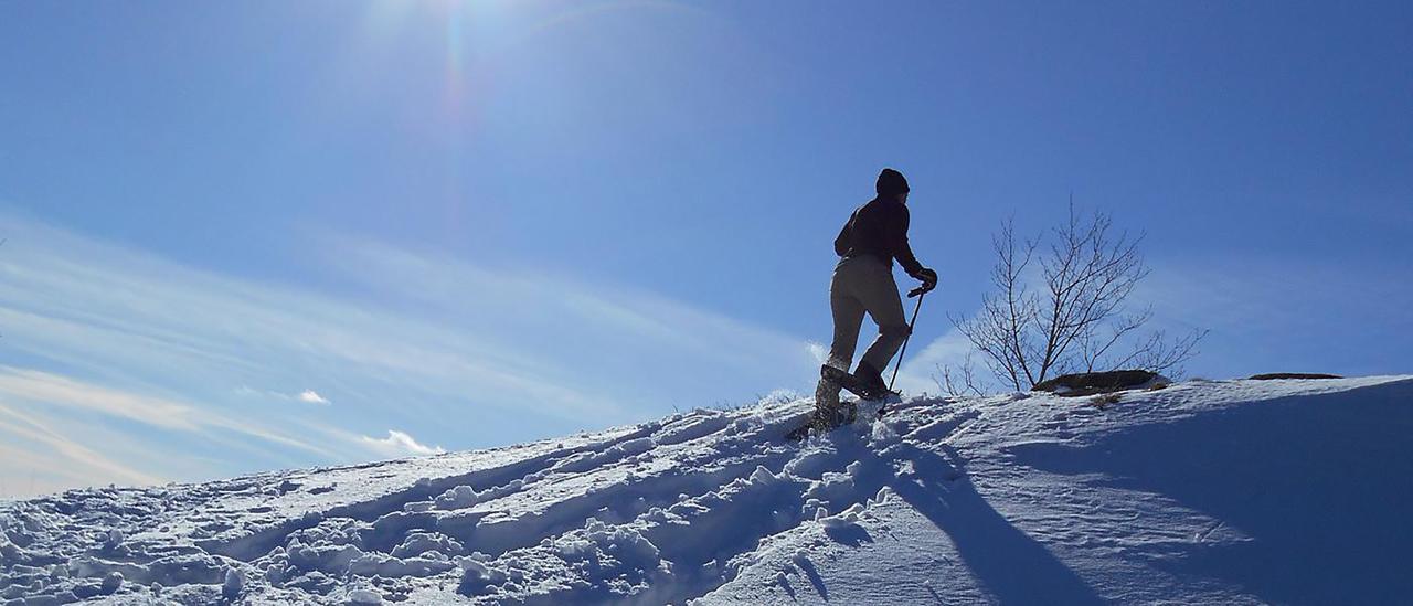 Adirondack Spruce Lodge Wilmington Bagian luar foto