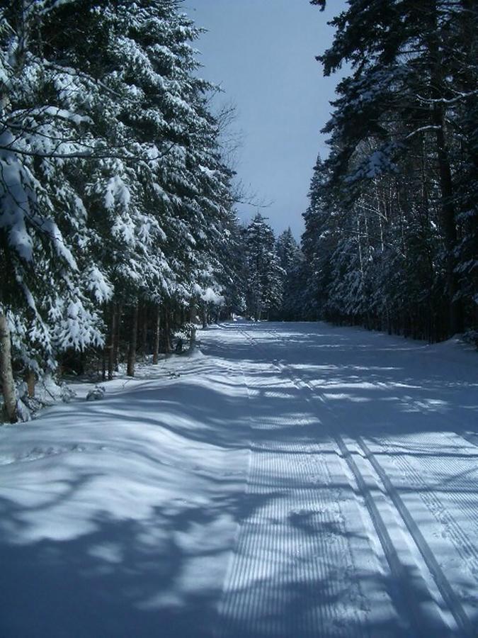 Adirondack Spruce Lodge Wilmington Bagian luar foto