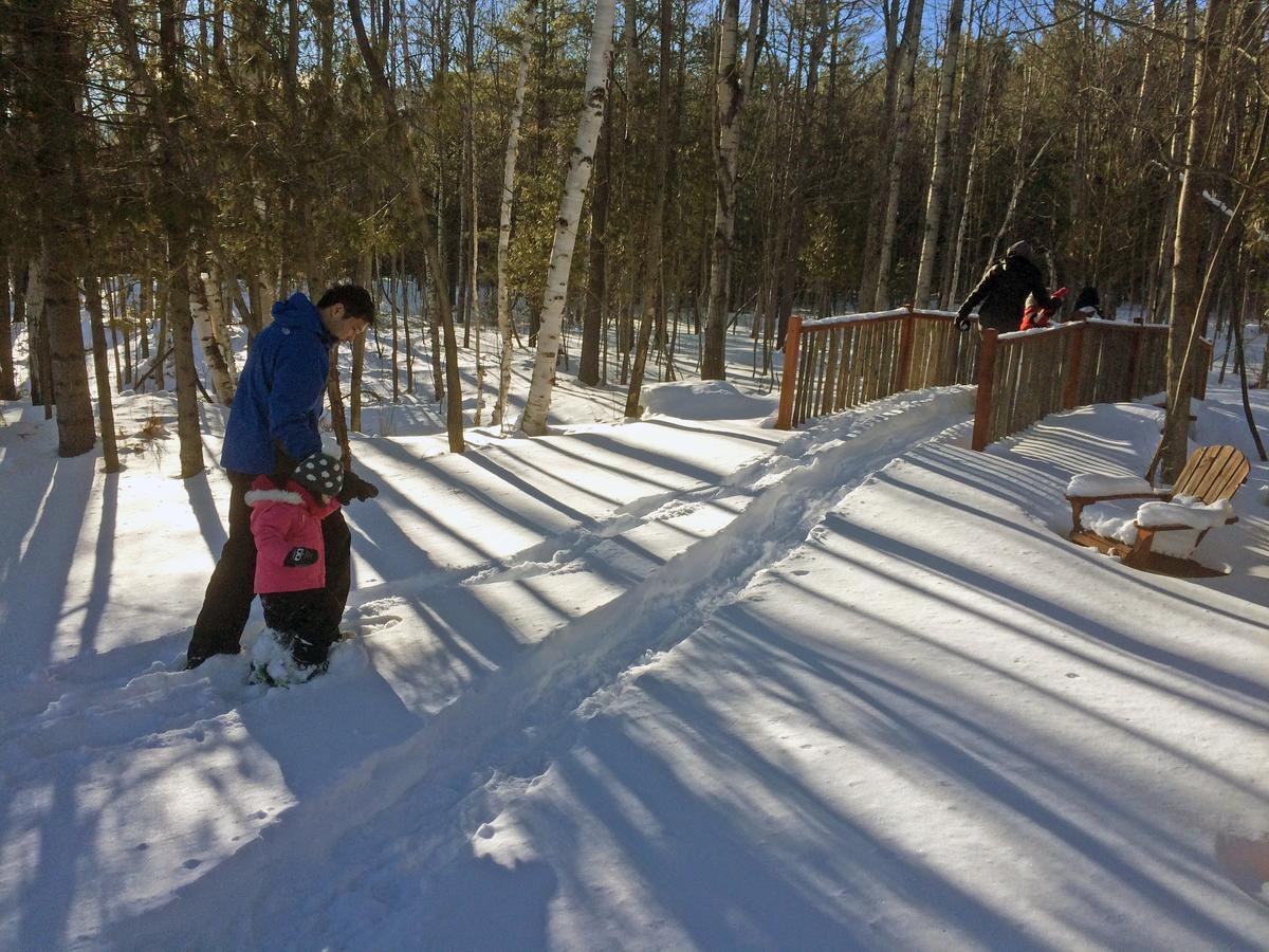 Adirondack Spruce Lodge Wilmington Bagian luar foto